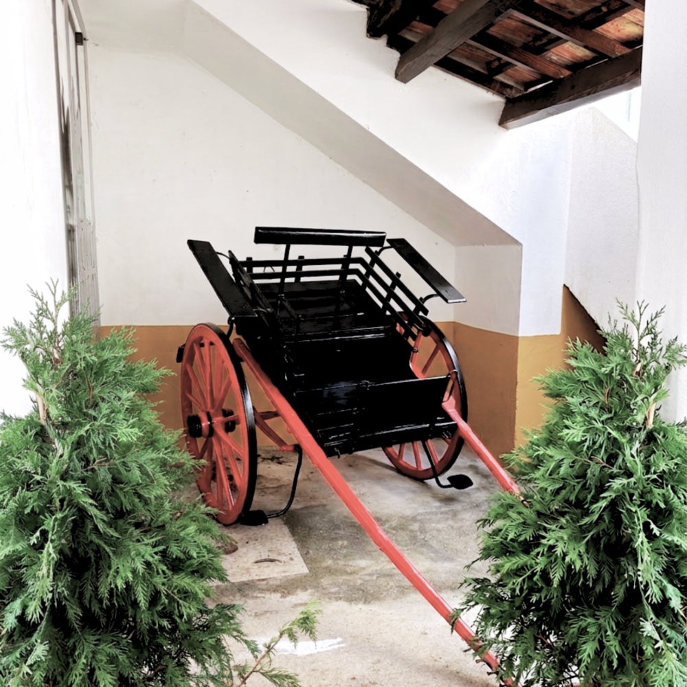 Posts Pátio das Ribeiras (2)